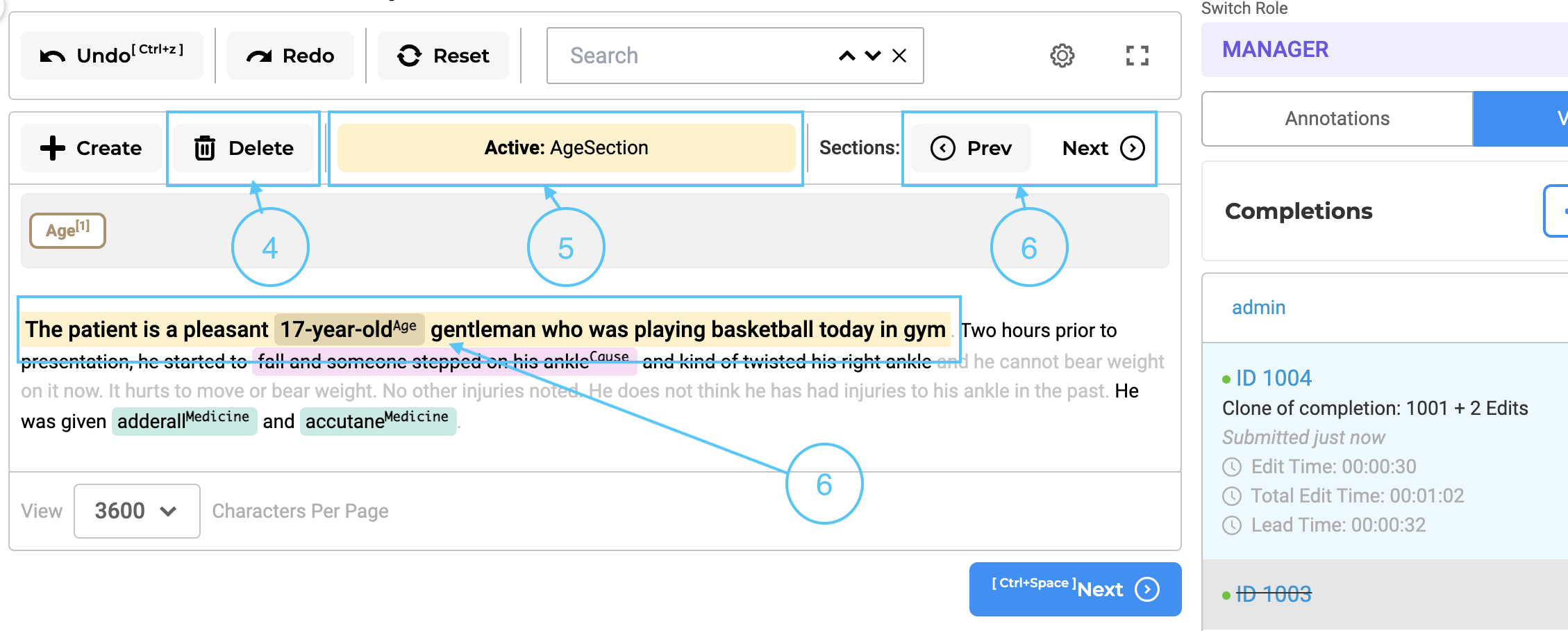 section options