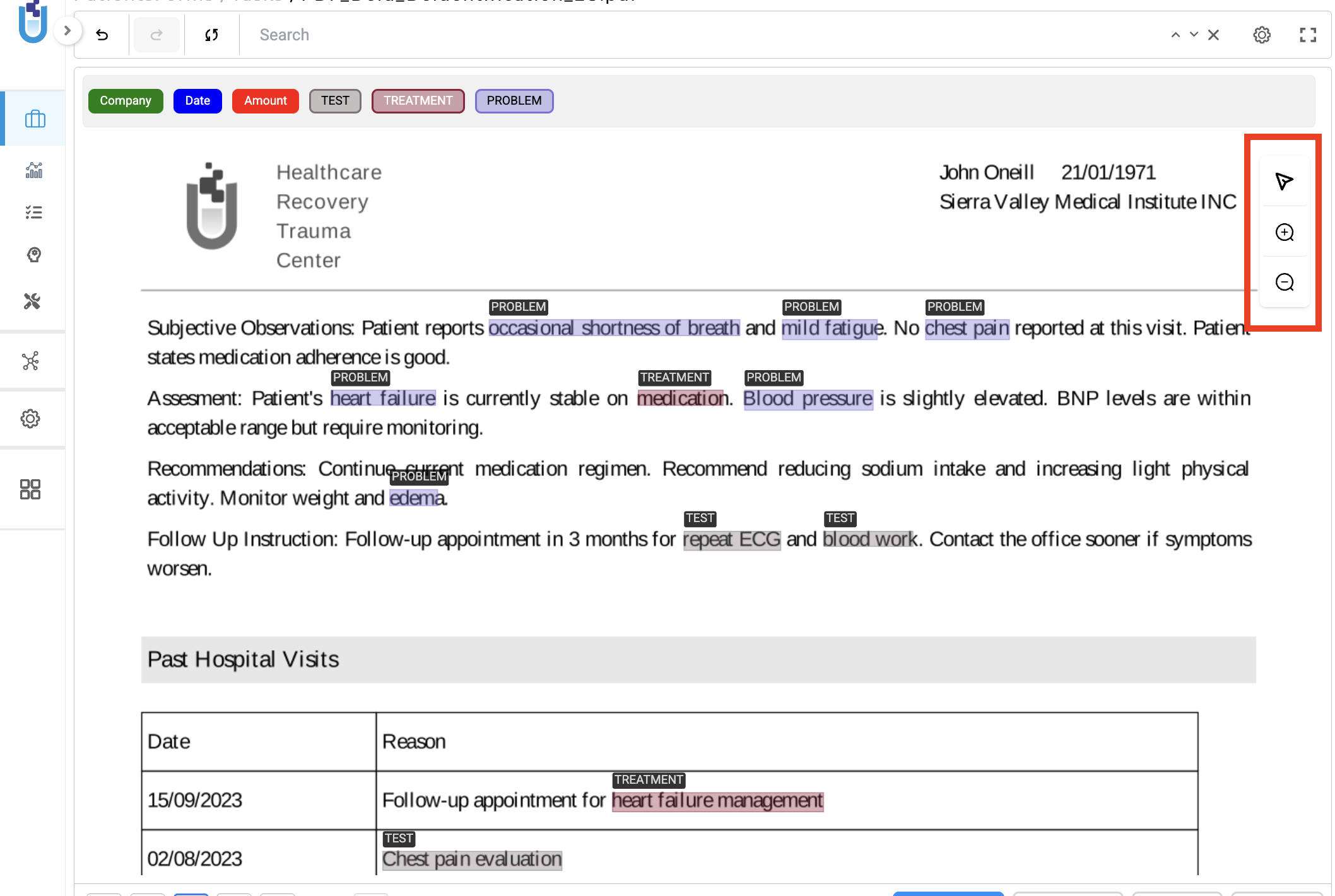 Updated zoom and pan controls in the Visual NER document viewer toolbar