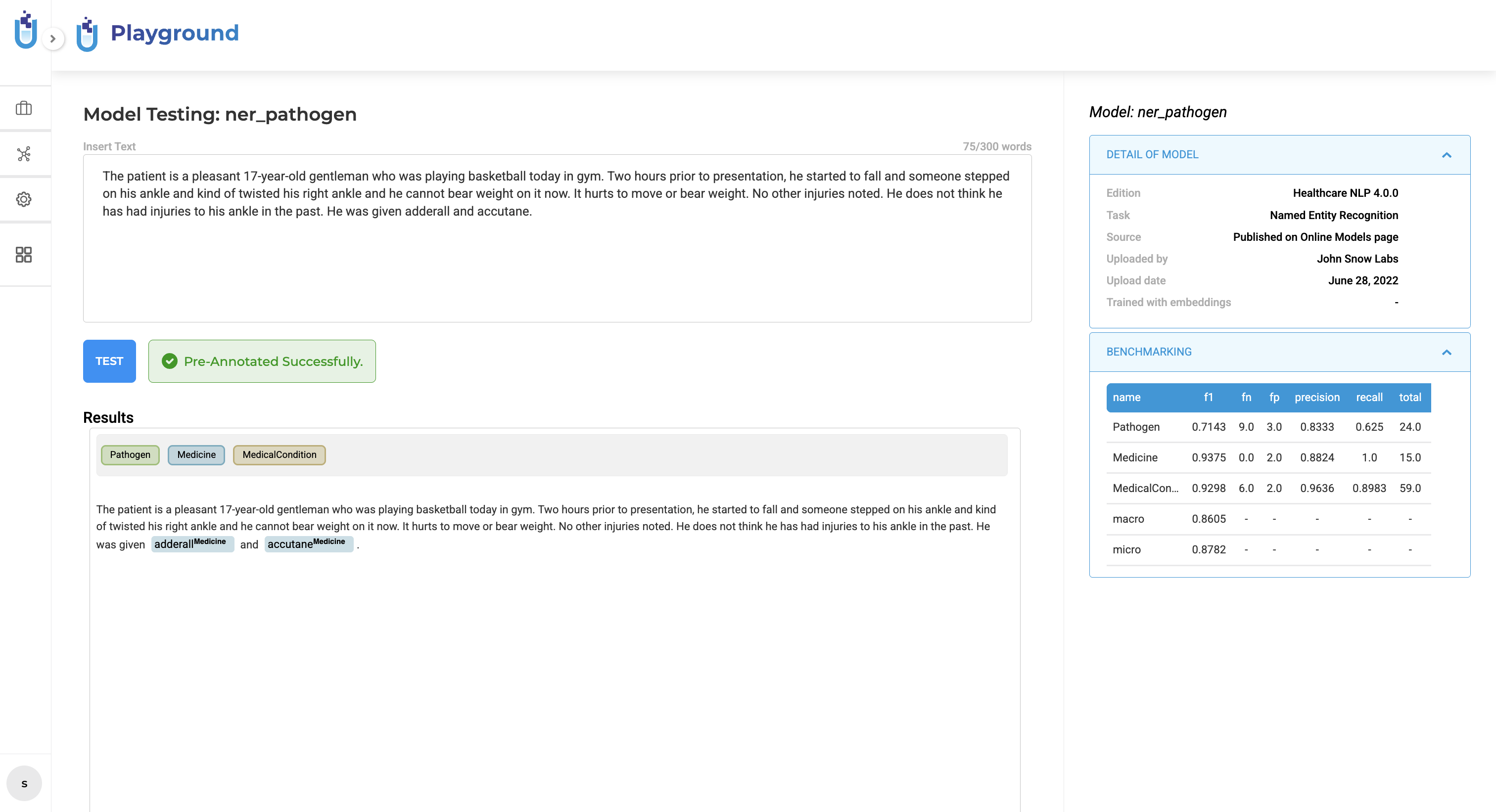 Playground showing a green success notification after a successful pre-annotation test
